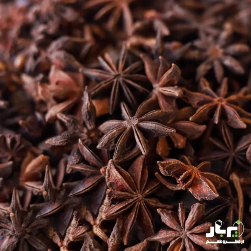 عکس بادیان ستاره ای