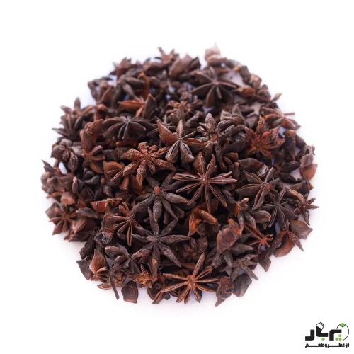 عکس بادیان ستاره ای