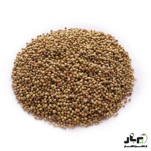 عکس تخم گشنیز