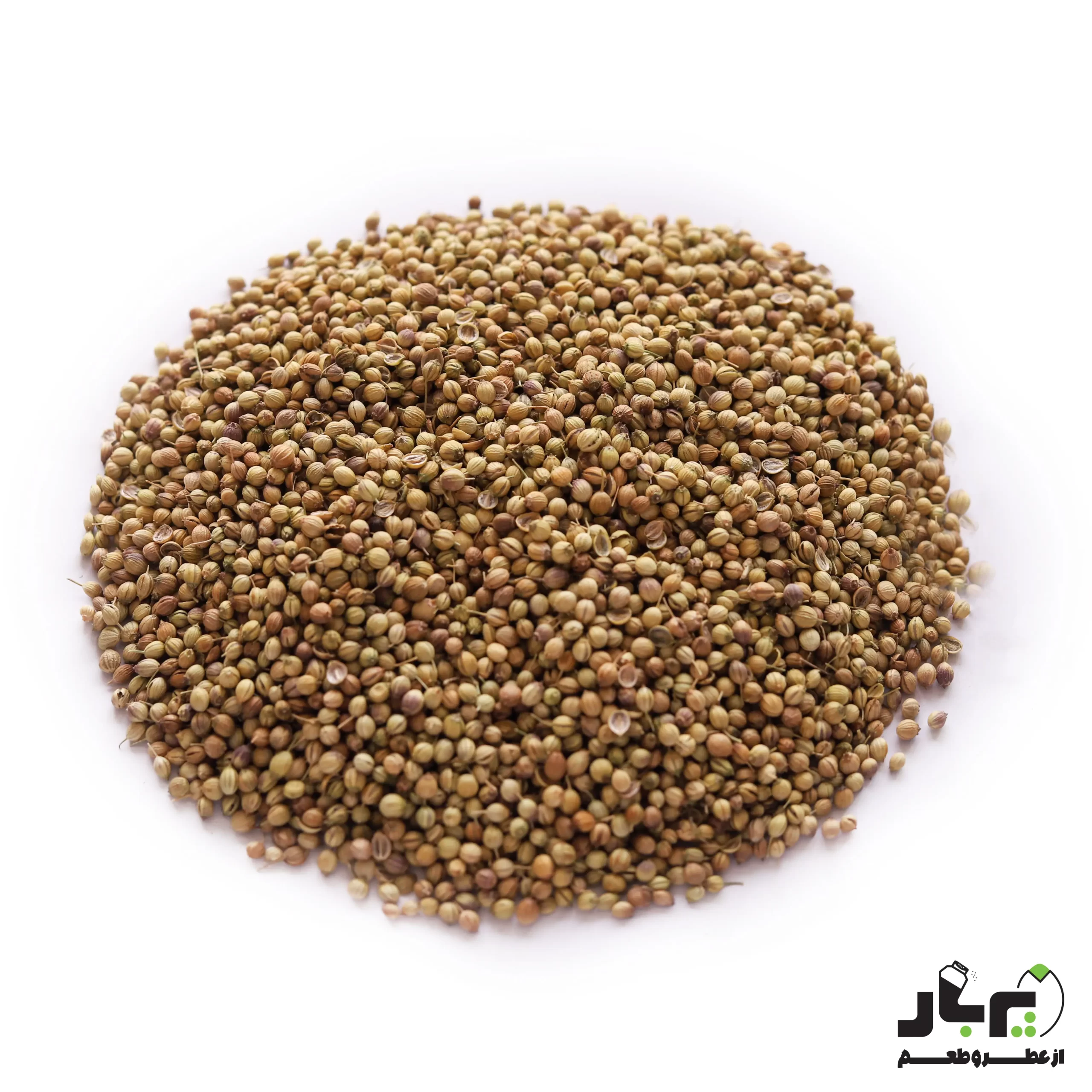 عکس تخم گشنیز