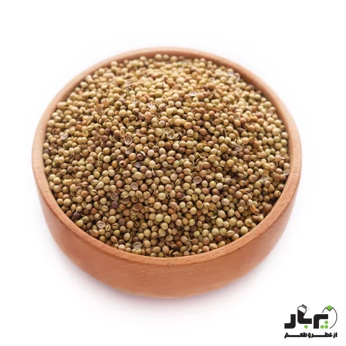 عکس تخم گشنیز