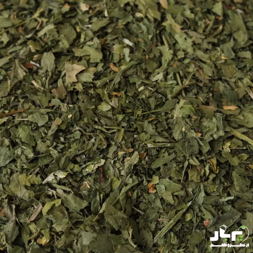 عکس جعفری خشک