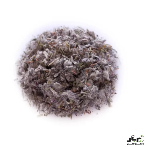 عکس چای کوهی