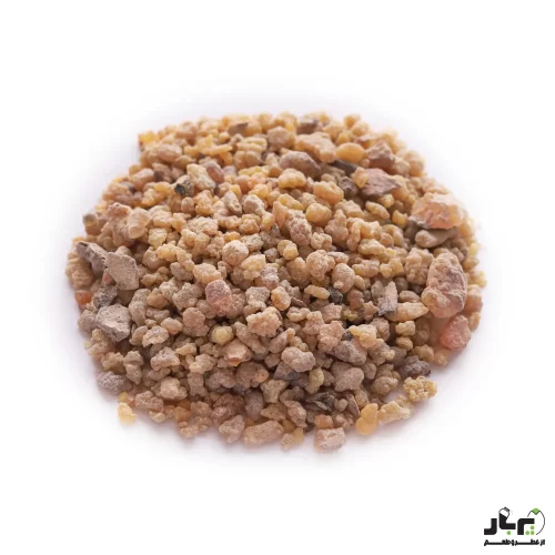 عکس کندور دودی