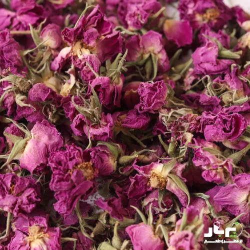 عکس گل محمدی خشک