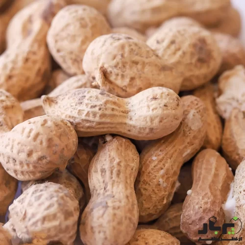 عکس بادام خاکی با پوست