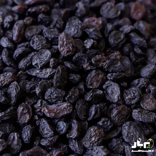 عکس مویز درشت