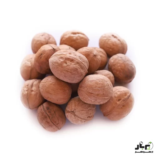 عکس گردو سنگی یا گردو پوست کاغذی